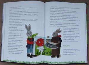 bladzijde boek